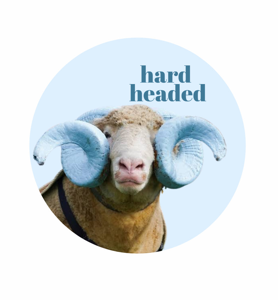 UNC - Hard Headed