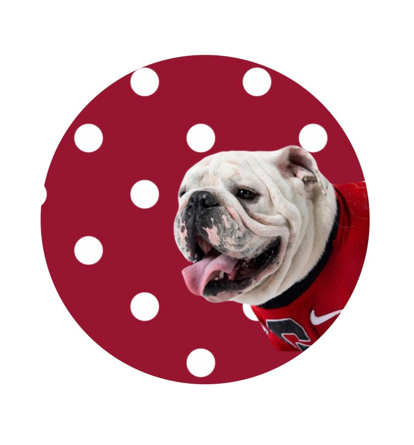 Georgia - Bulldog